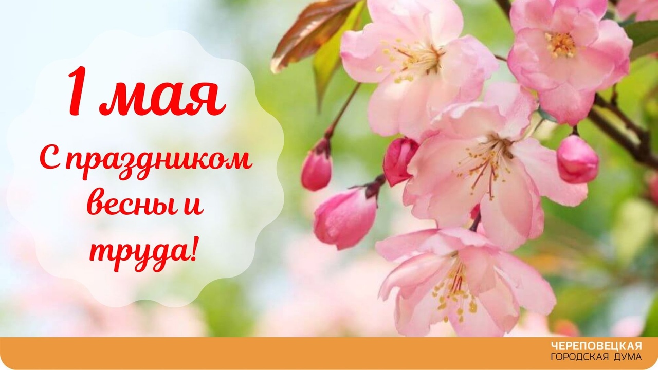 Новости Черинфо