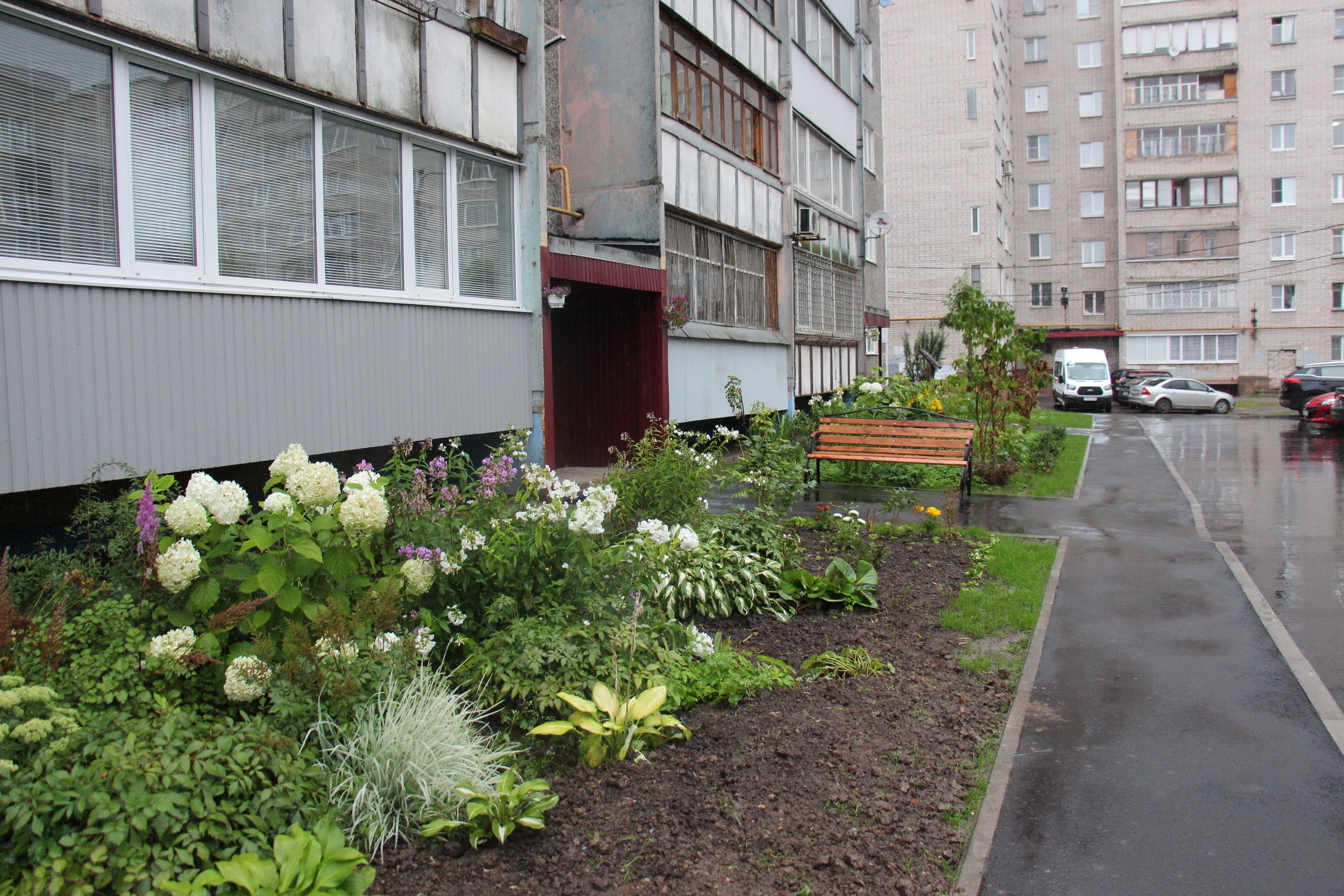 Новости Черинфо