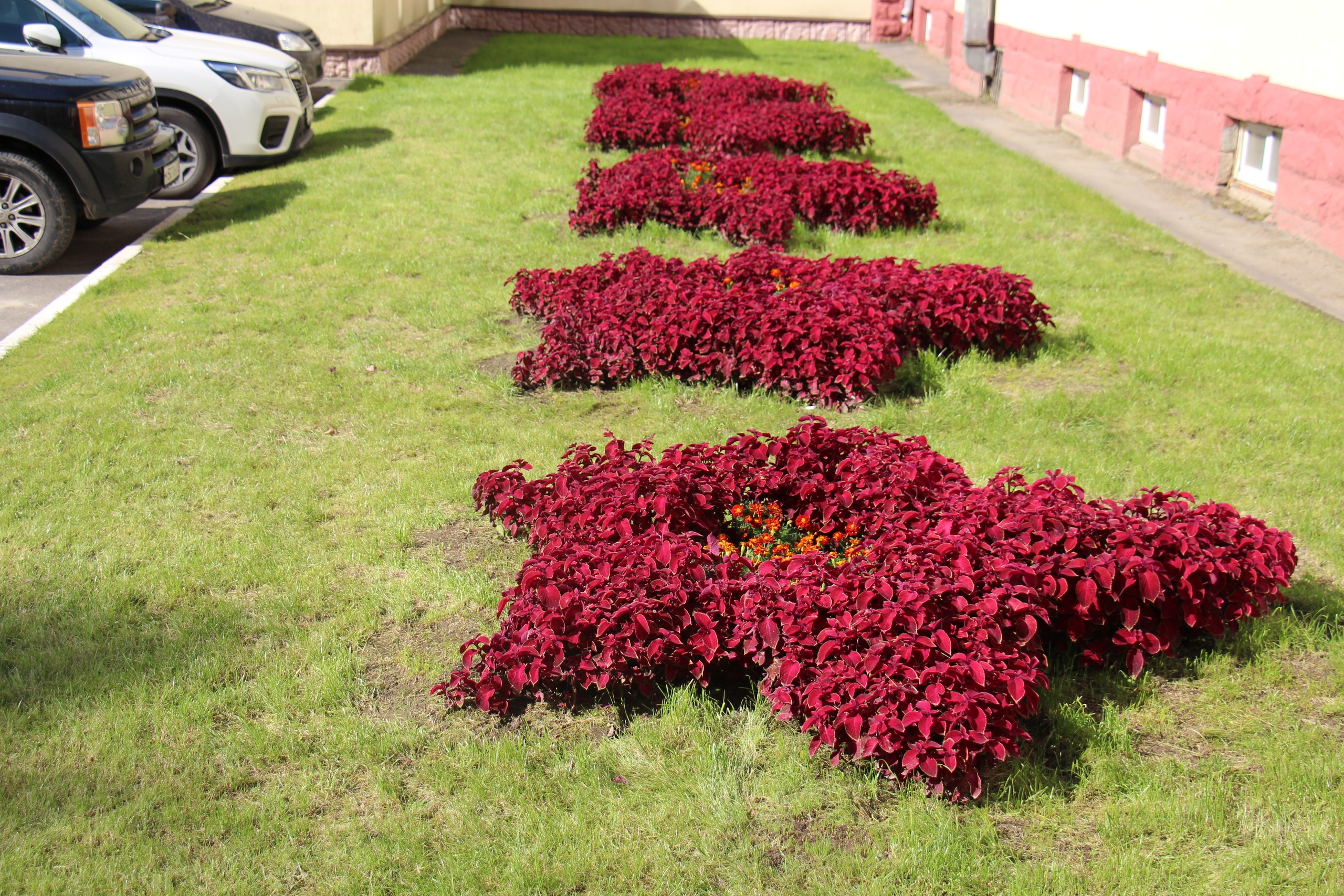 Новости Черинфо