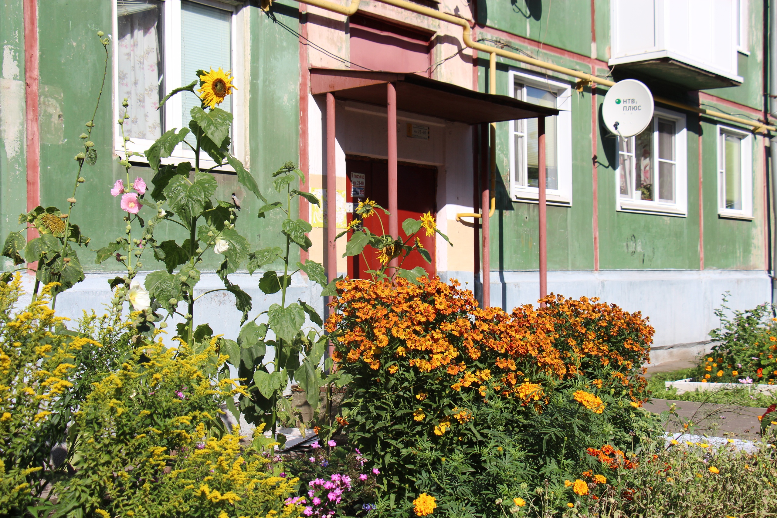 Новости Черинфо