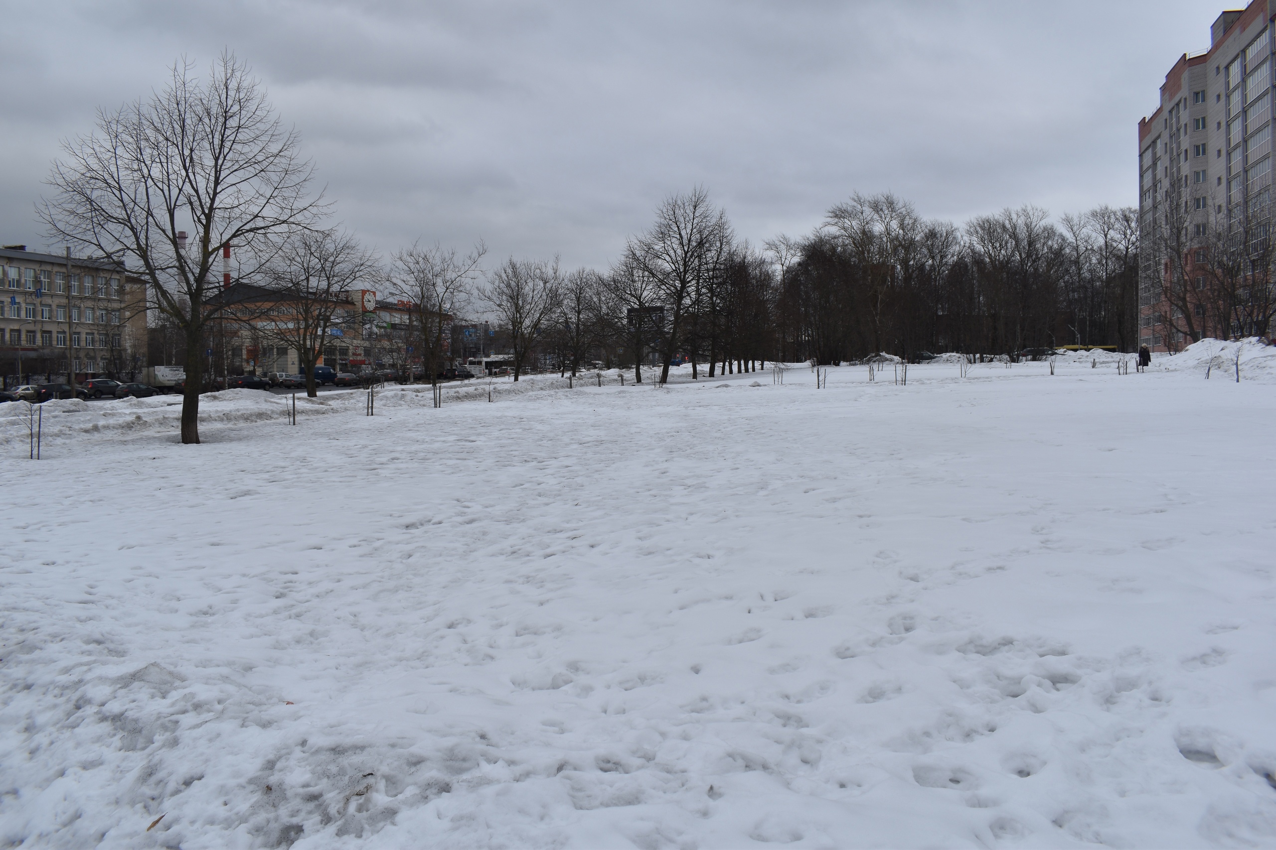 Новости Черинфо