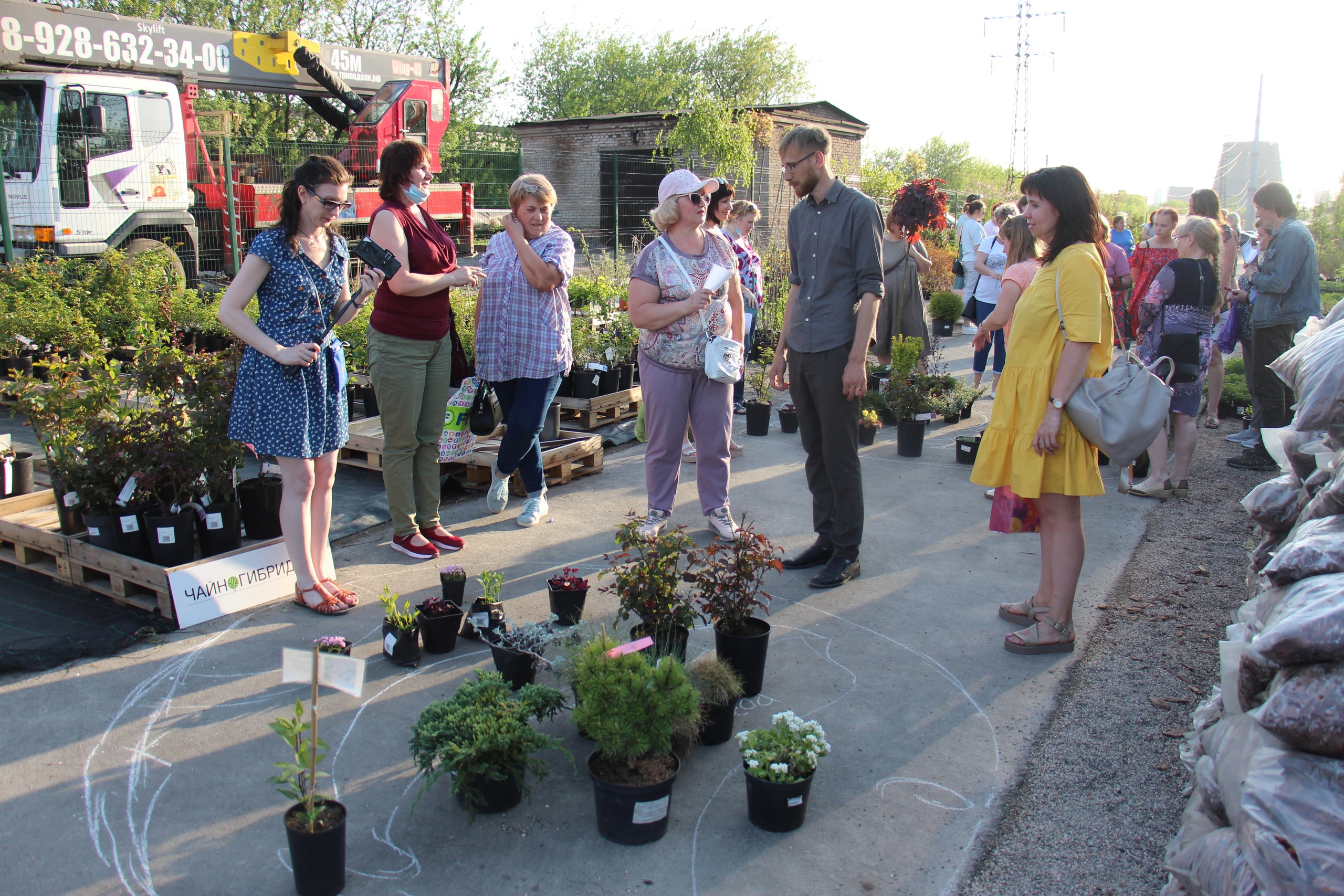 Новости Черинфо