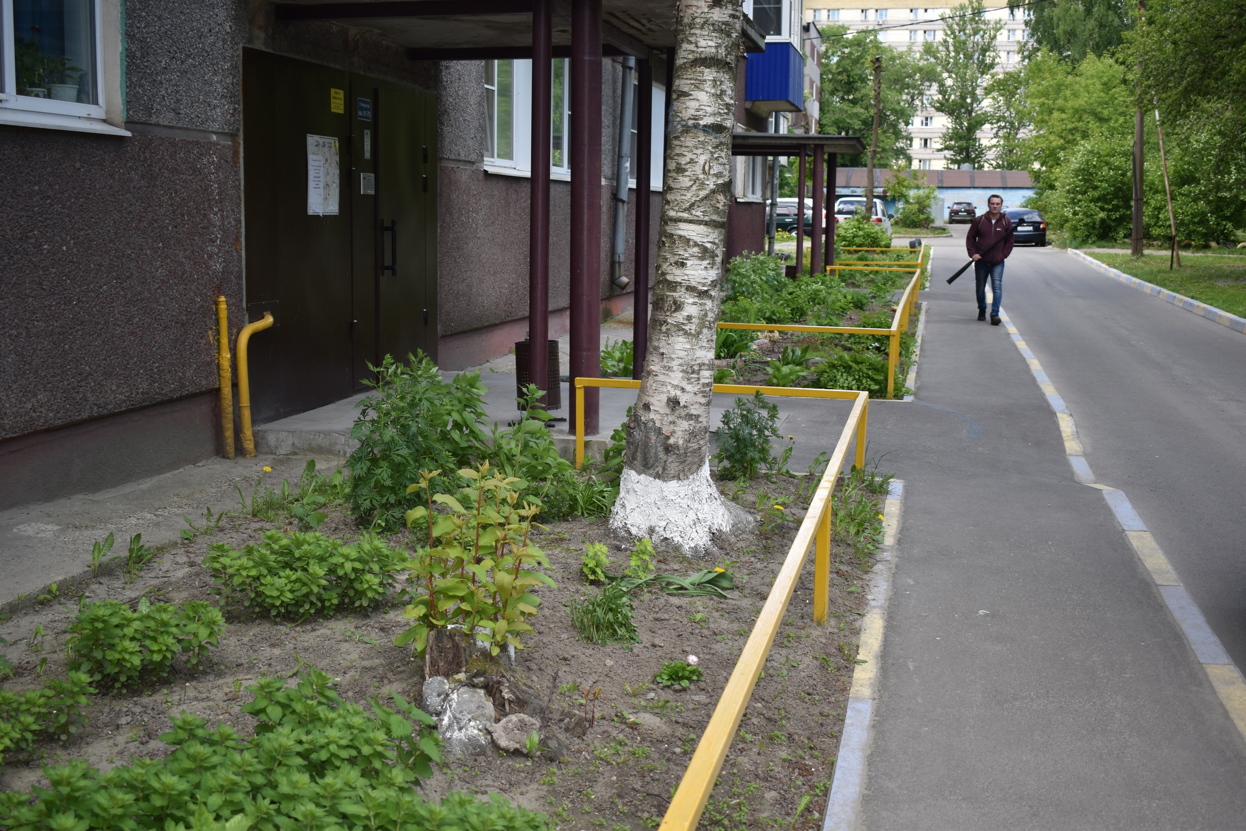 Новости Черинфо