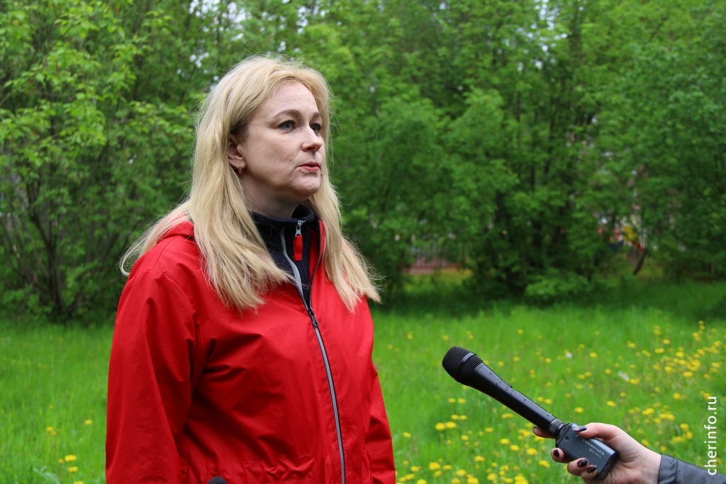 Новости Черинфо