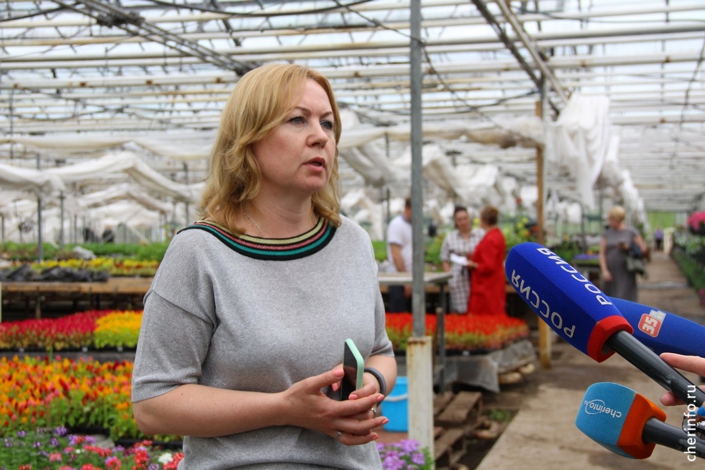 Новости Черинфо