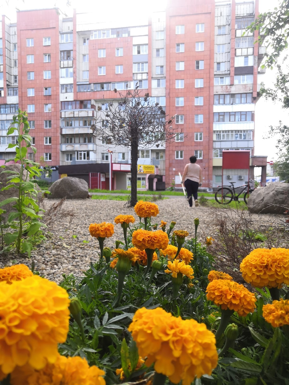 Новости Черинфо