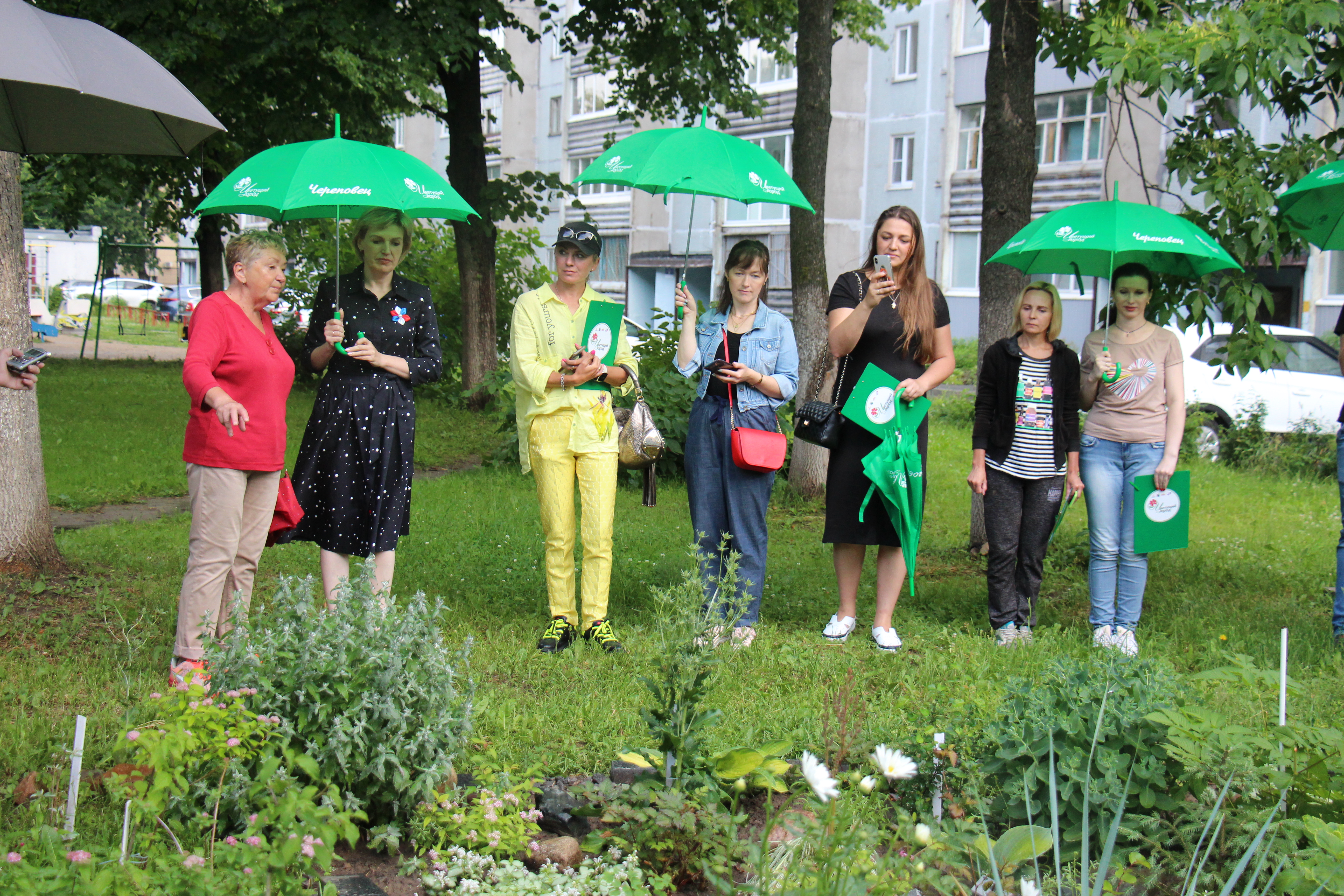 Новости Черинфо