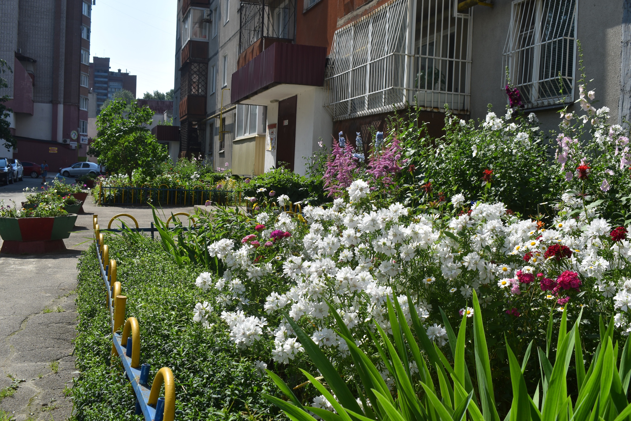 Новости Черинфо