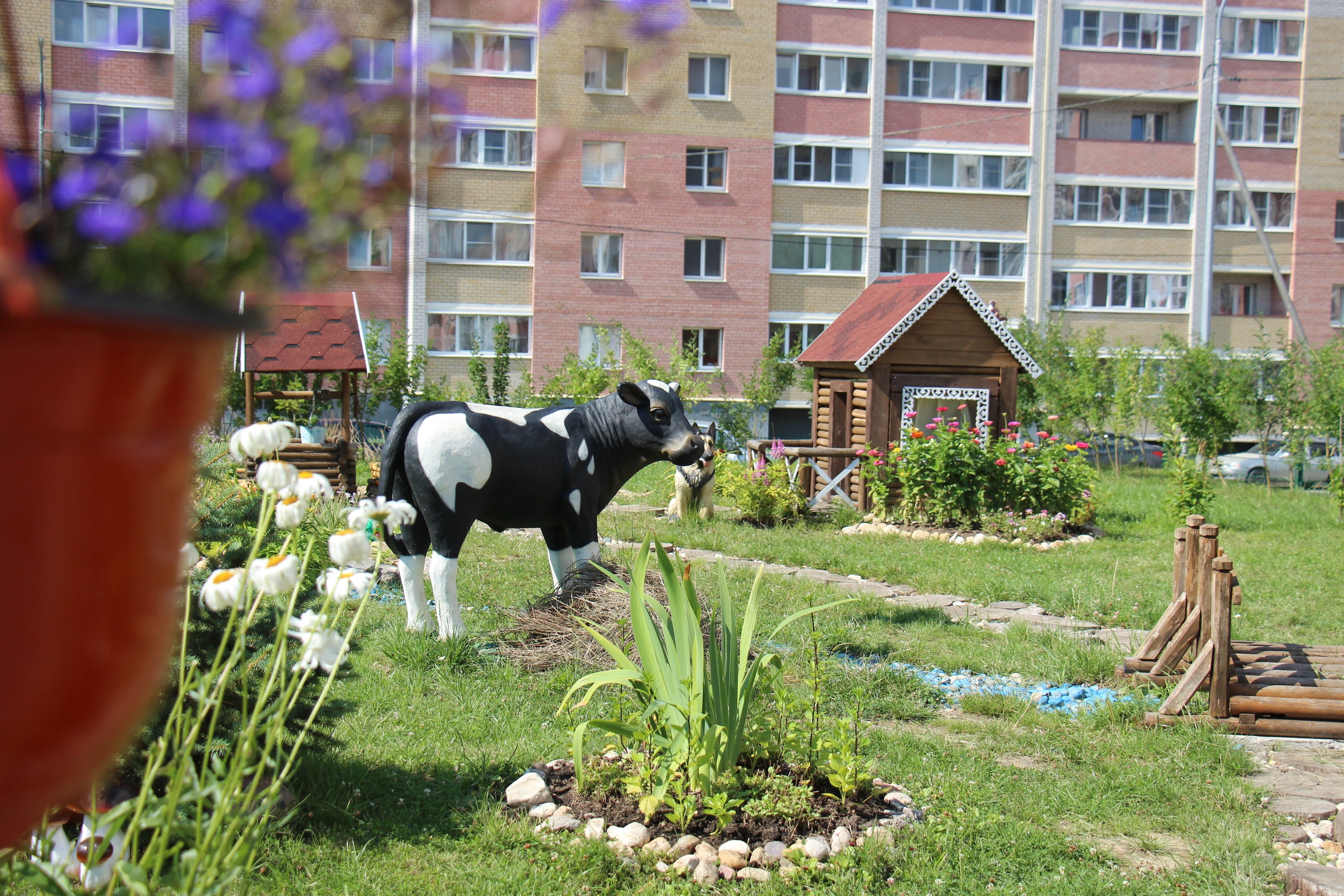 Новости Черинфо