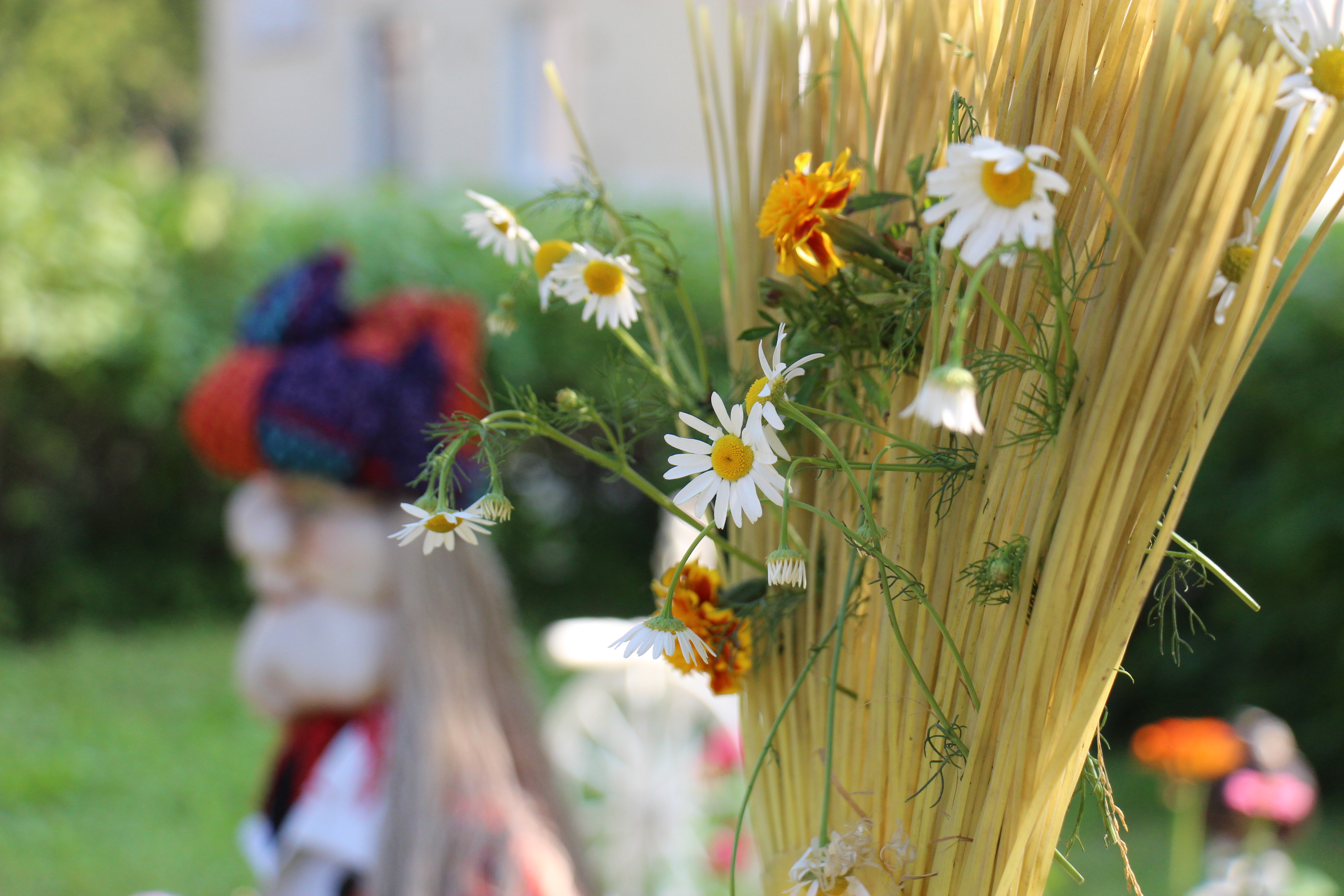 Новости Черинфо