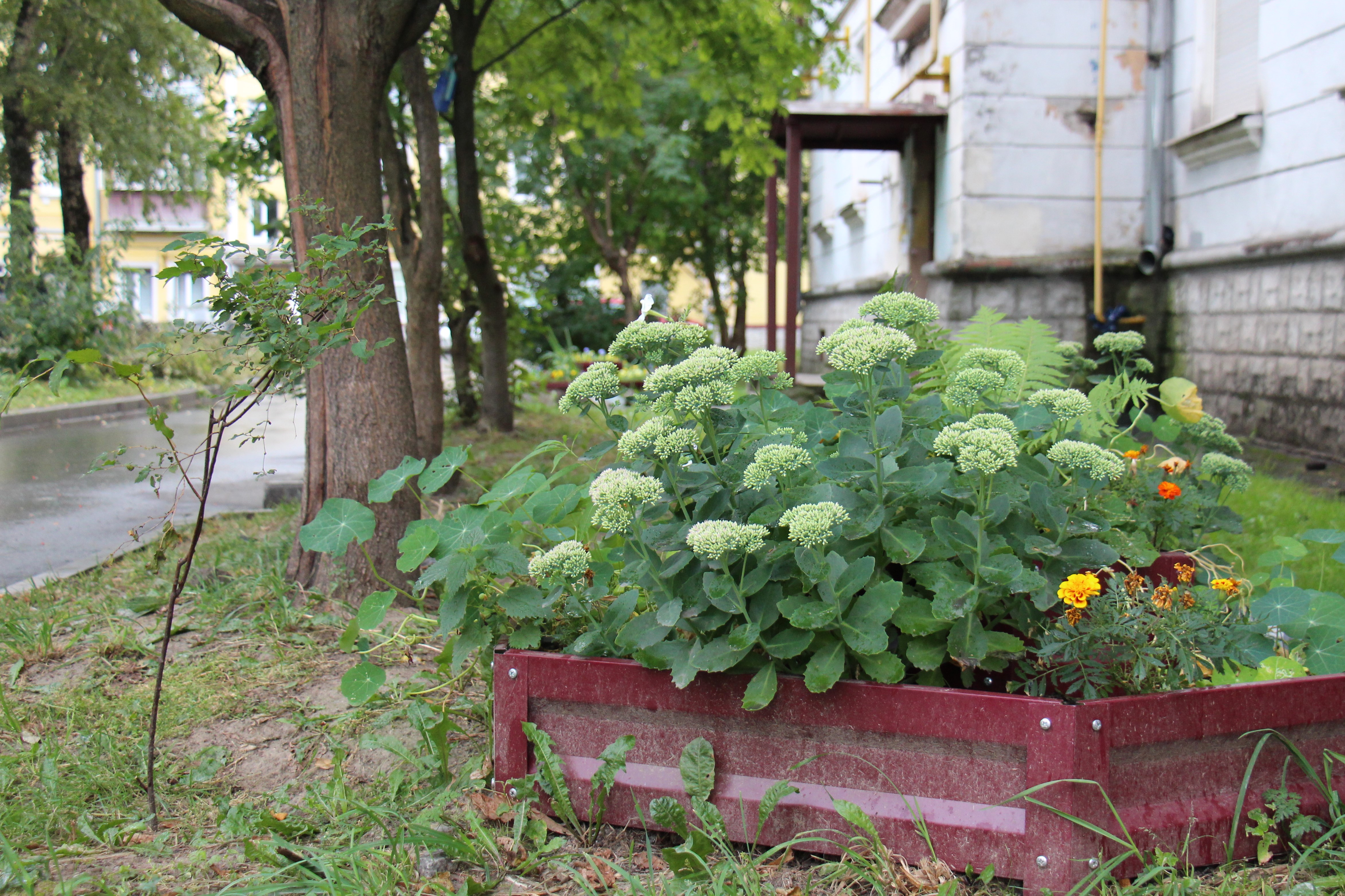 Новости Черинфо