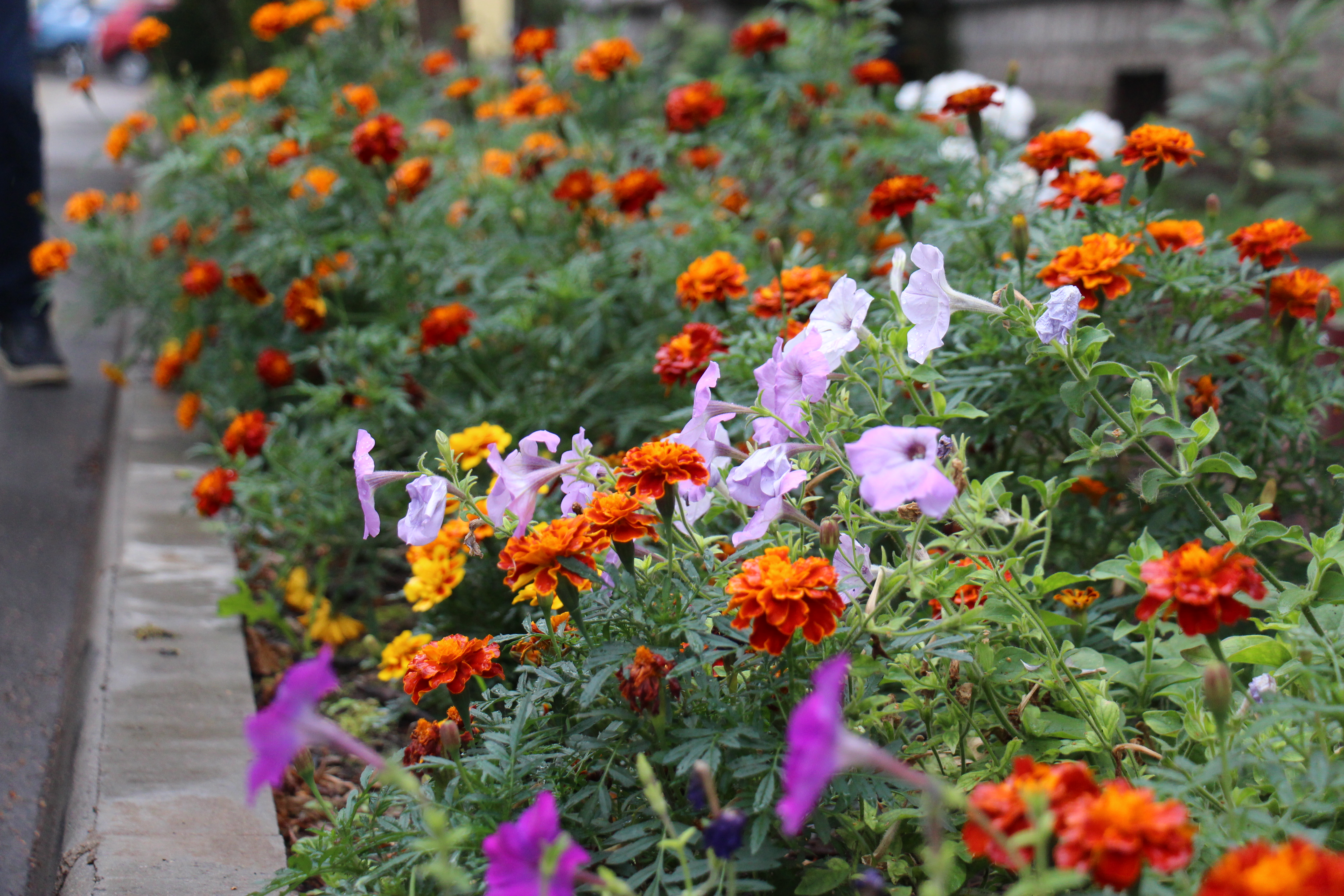 Новости Черинфо