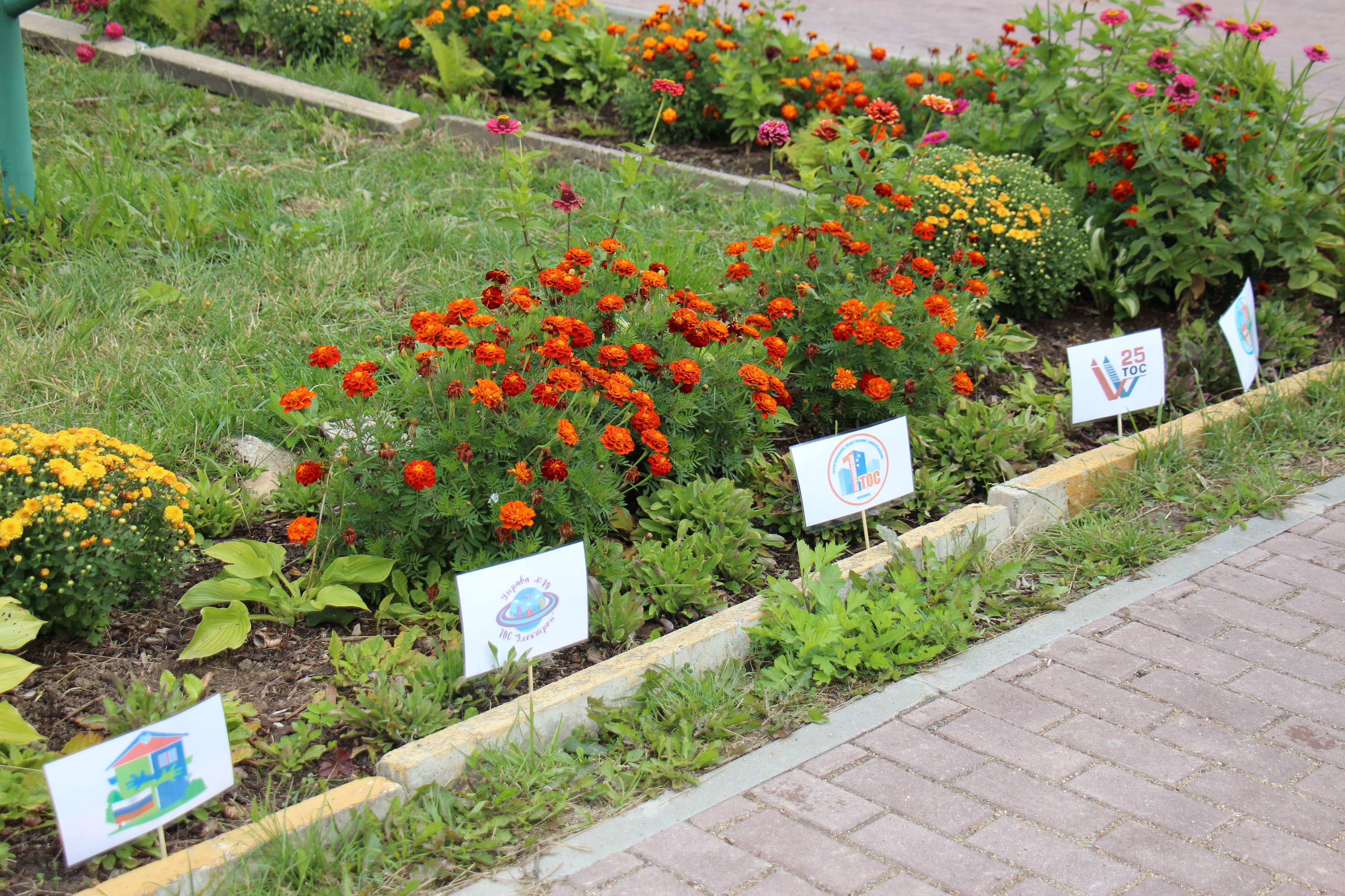 Новости Черинфо