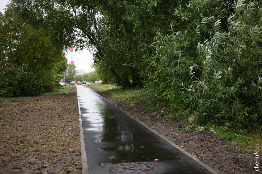 Новости Черинфо