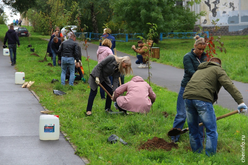 Новости Черинфо