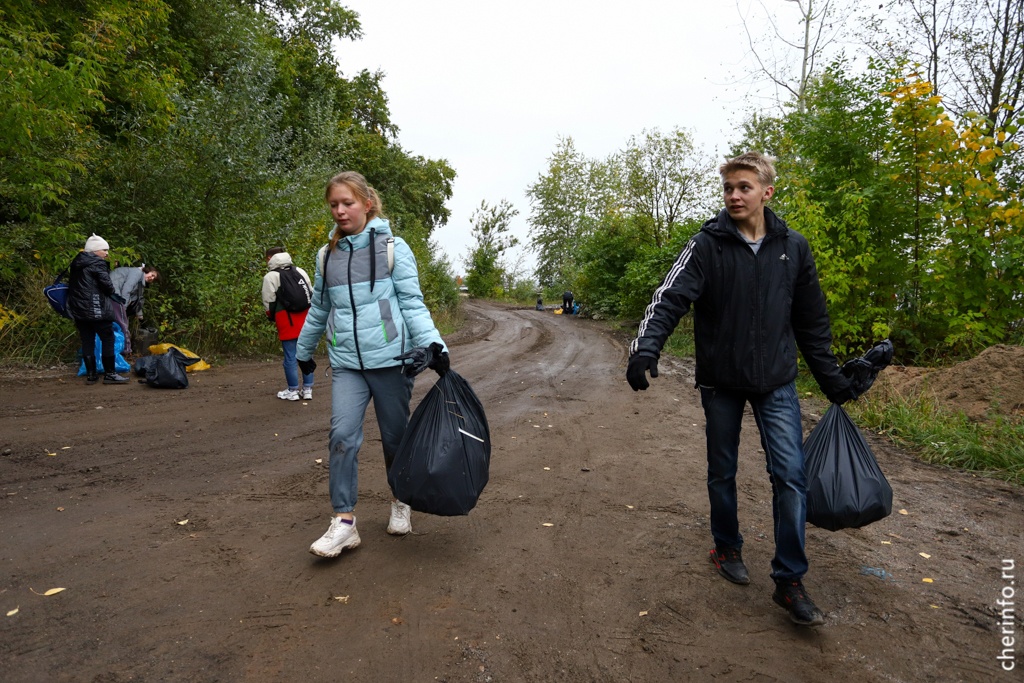 Новости Черинфо