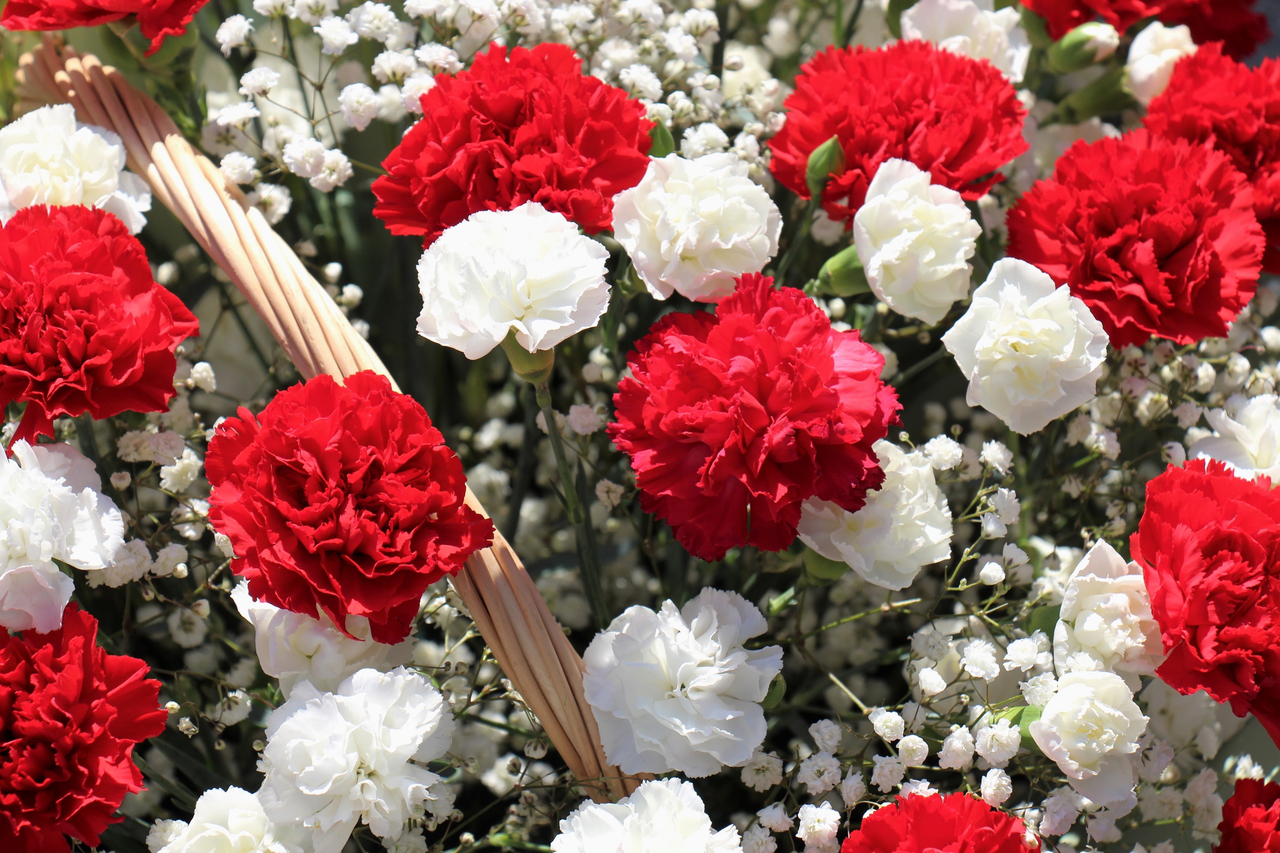 Новости Черинфо