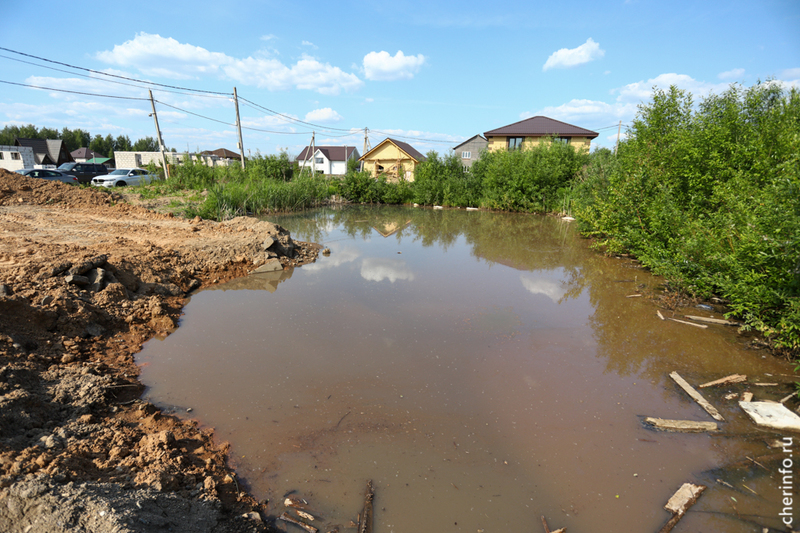 пруд, вонь