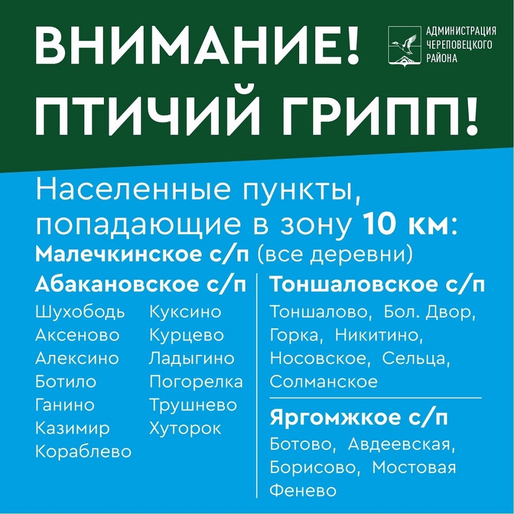 Новости Черинфо