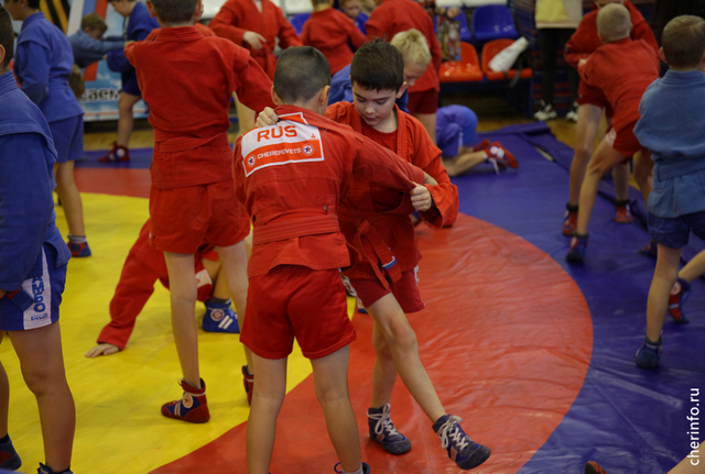 Новости Черинфо