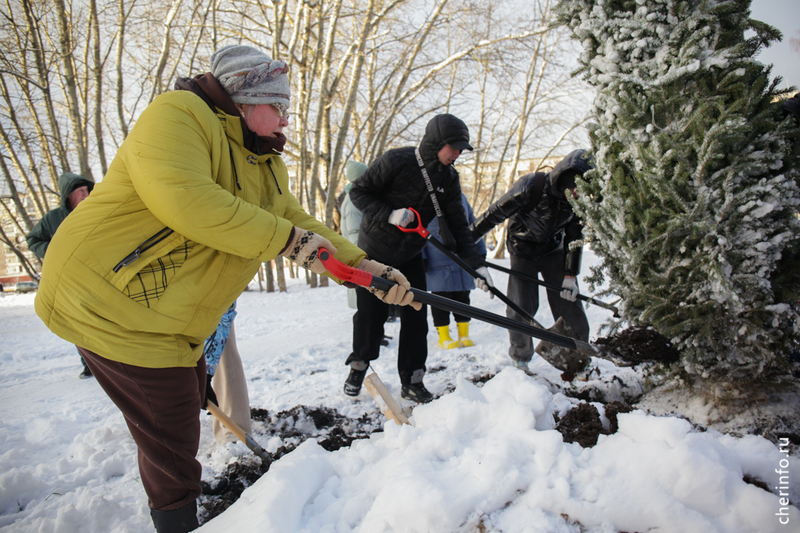 Новости Черинфо
