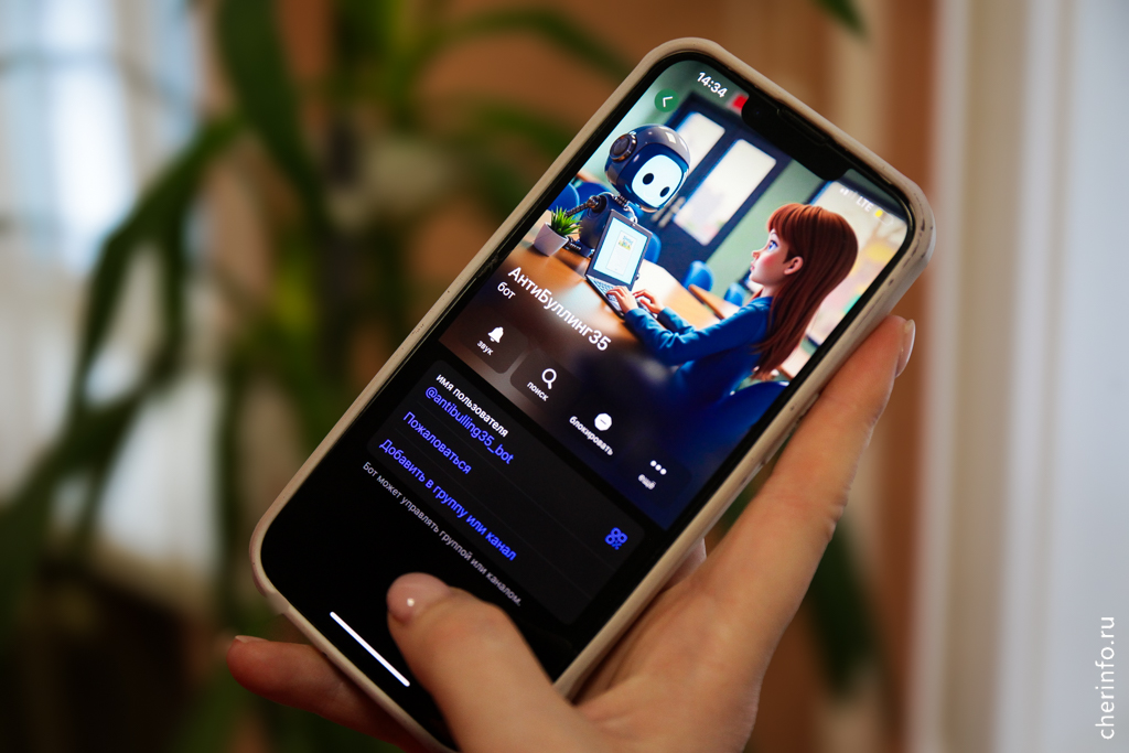 Новости Черинфо