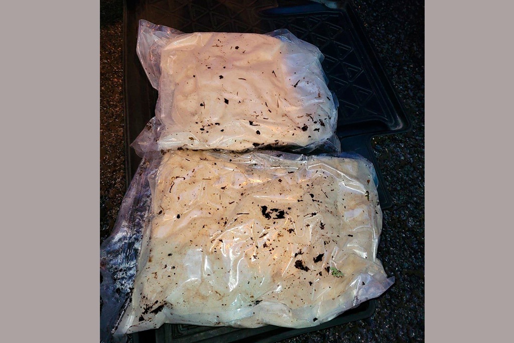 Новости Черинфо