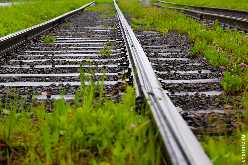 Новости Черинфо