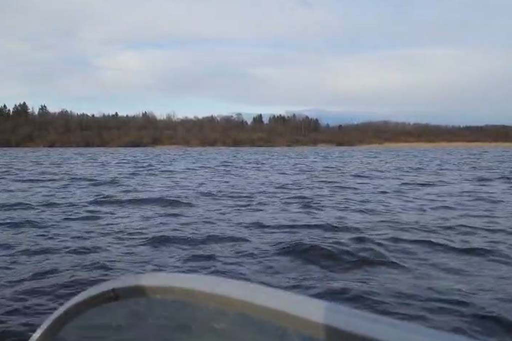 Новости Черинфо