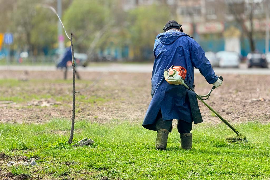 Новости Черинфо