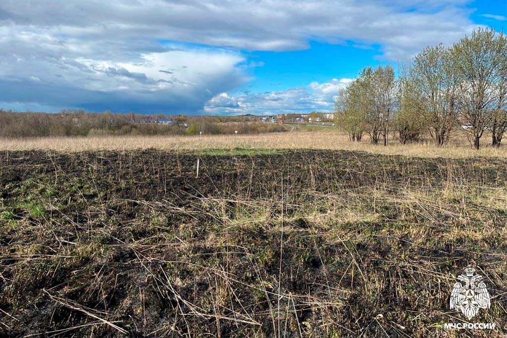 Новости Черинфо