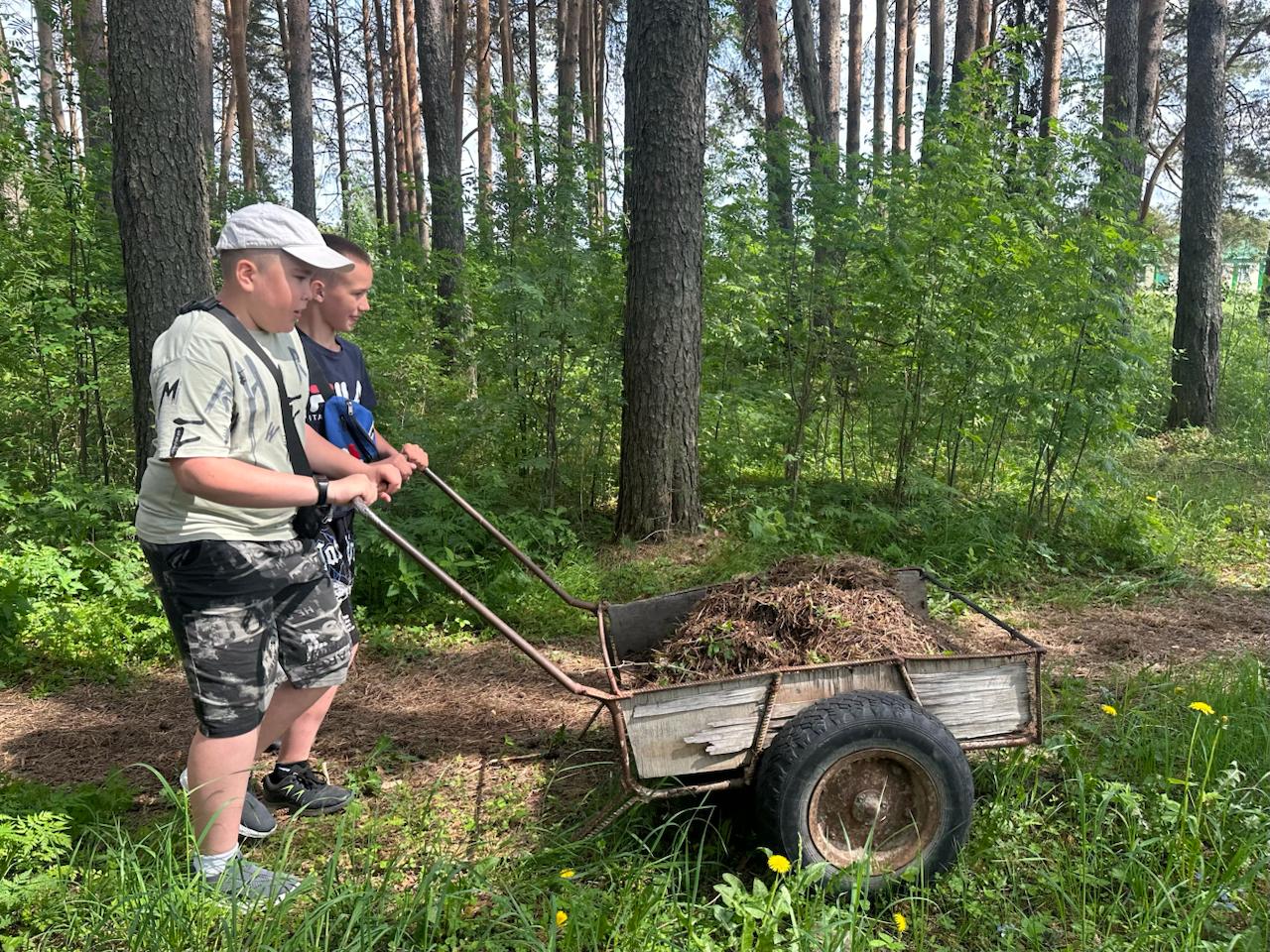 Новости Черинфо