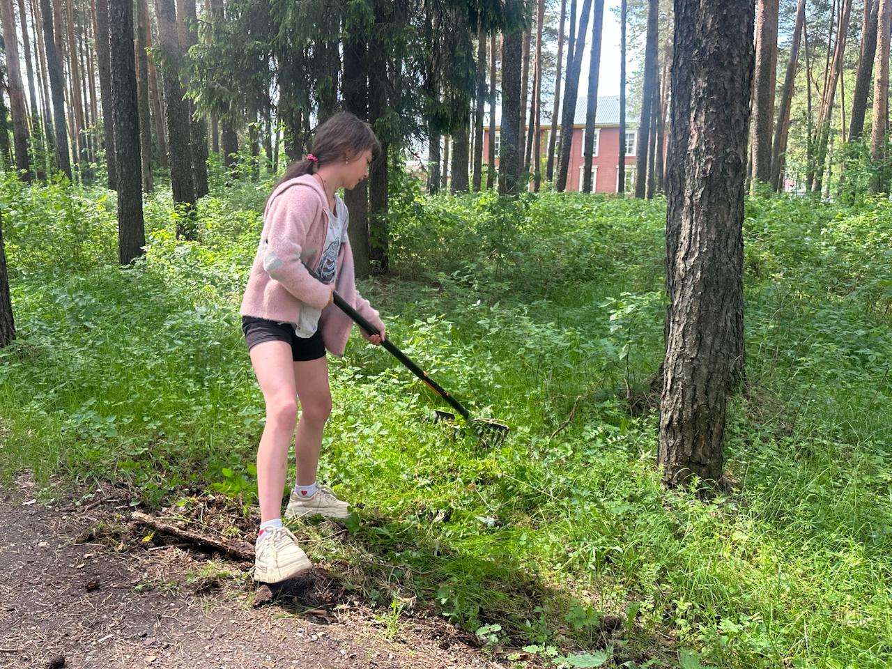 Новости Черинфо
