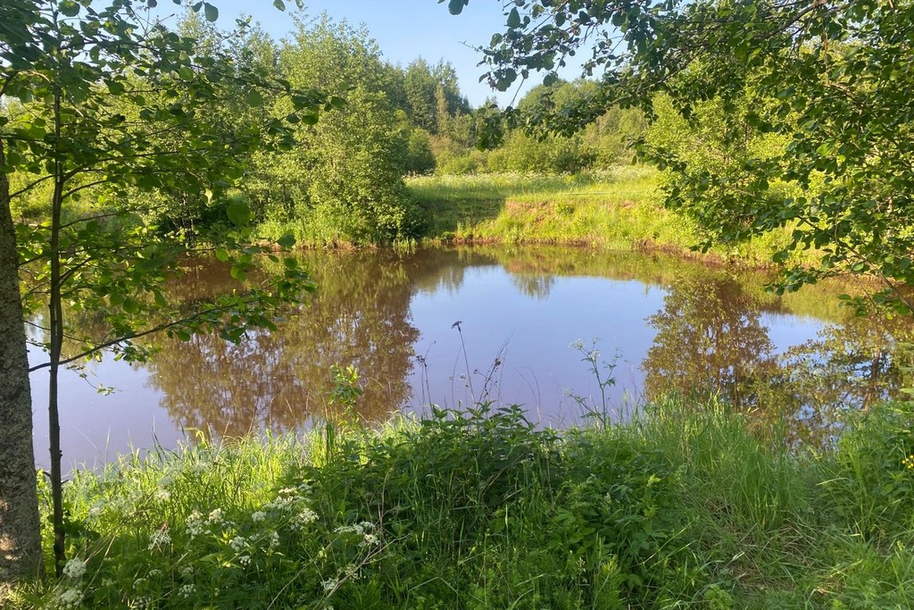 Новости Черинфо