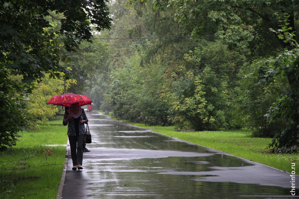 Новости Черинфо