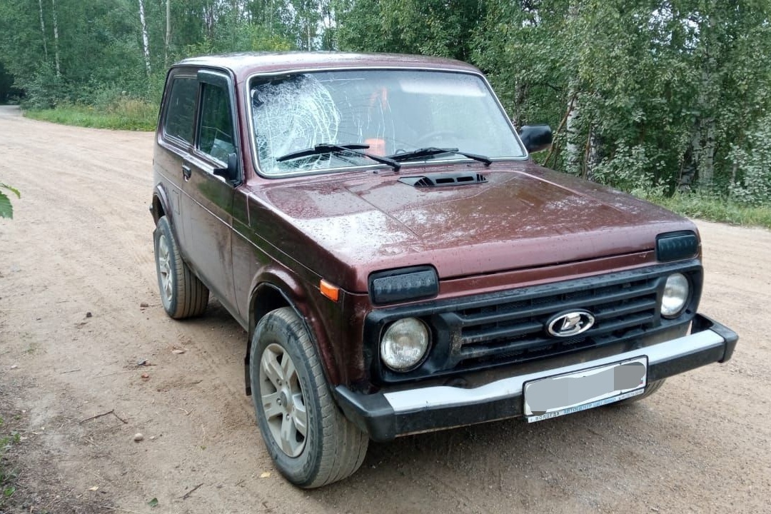 Новости Черинфо