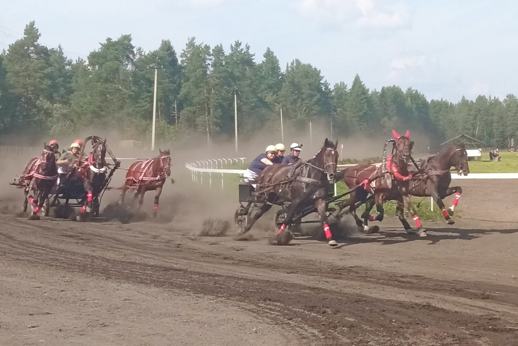 Новости Черинфо