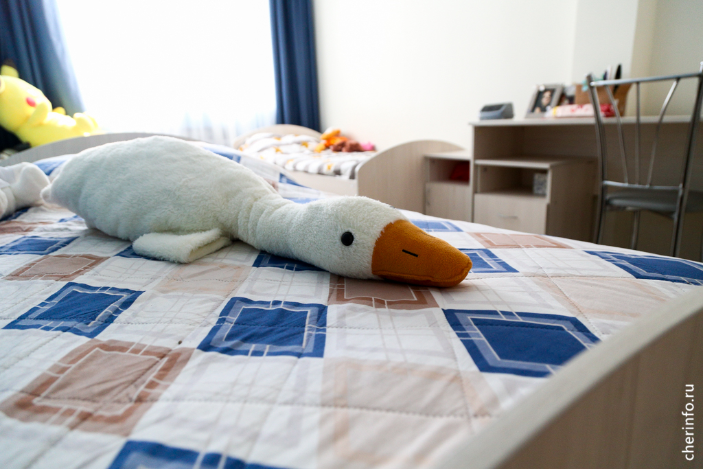 Новости Черинфо