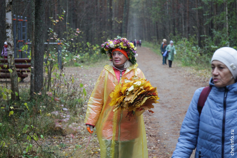 Новости Черинфо