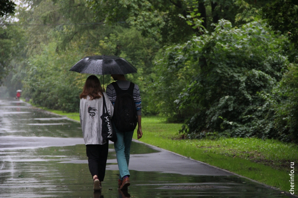 Новости Черинфо