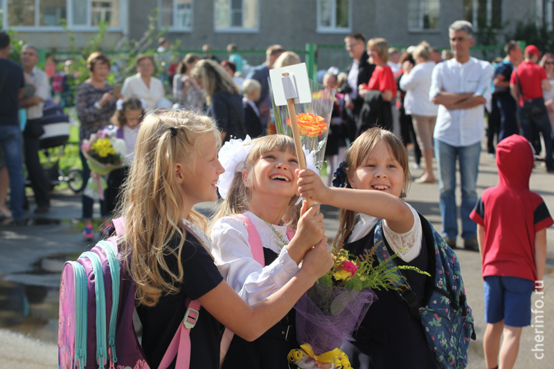 Новости Черинфо