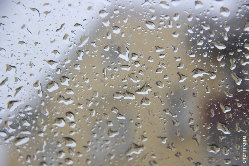 Новости Черинфо