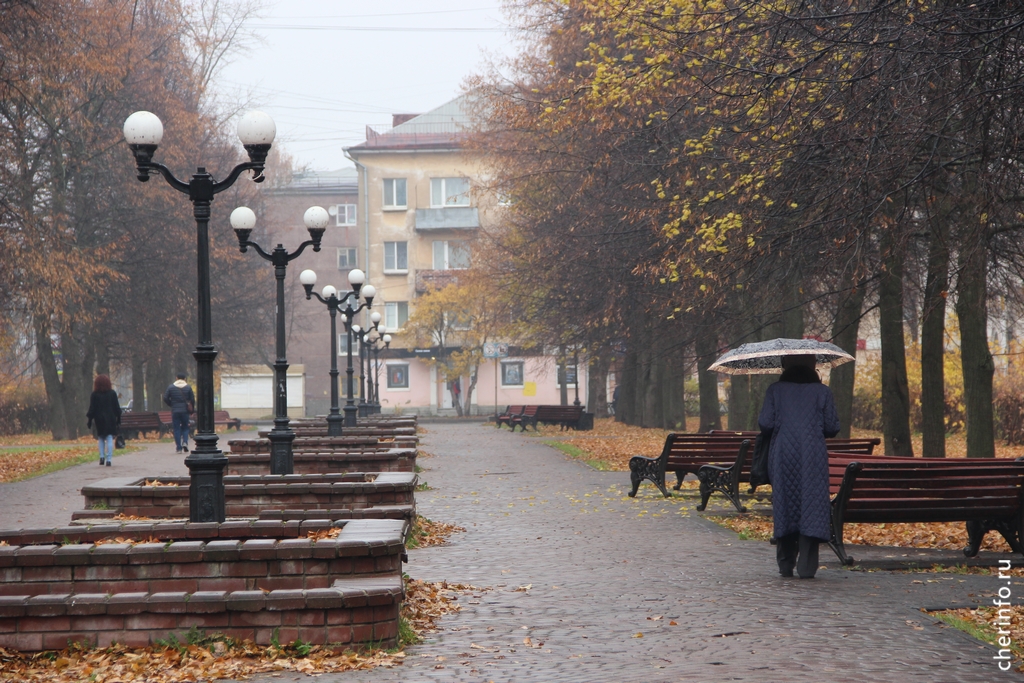 Новости Черинфо