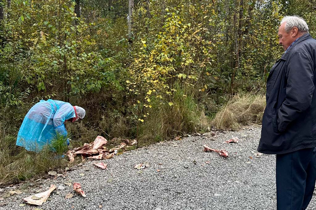 Новости Черинфо