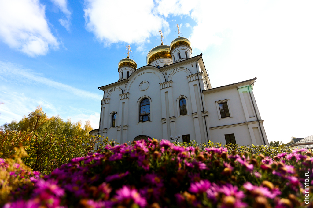 Новости Черинфо