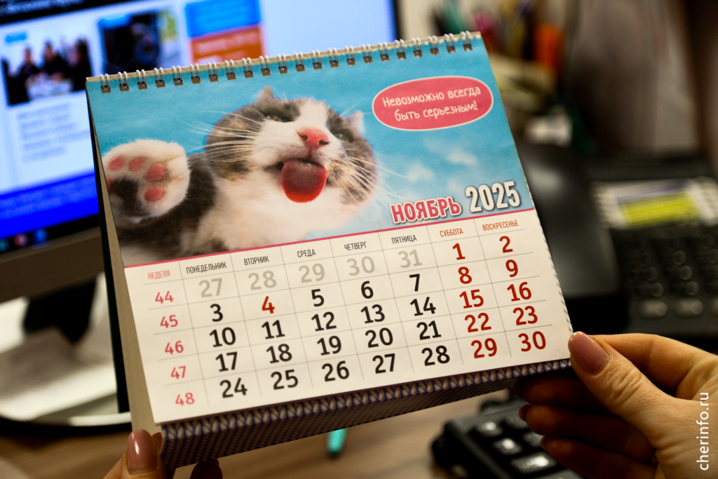 Новости Черинфо