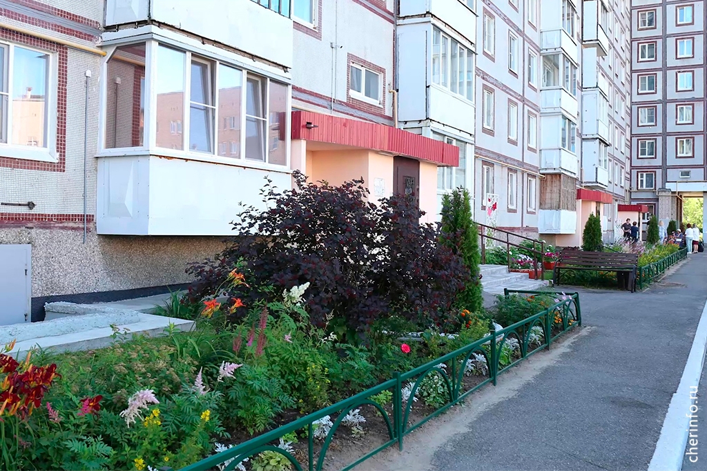 Новости Черинфо