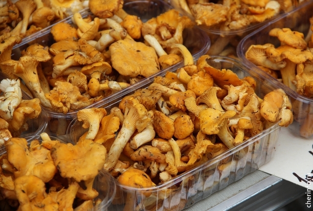 Новости Черинфо