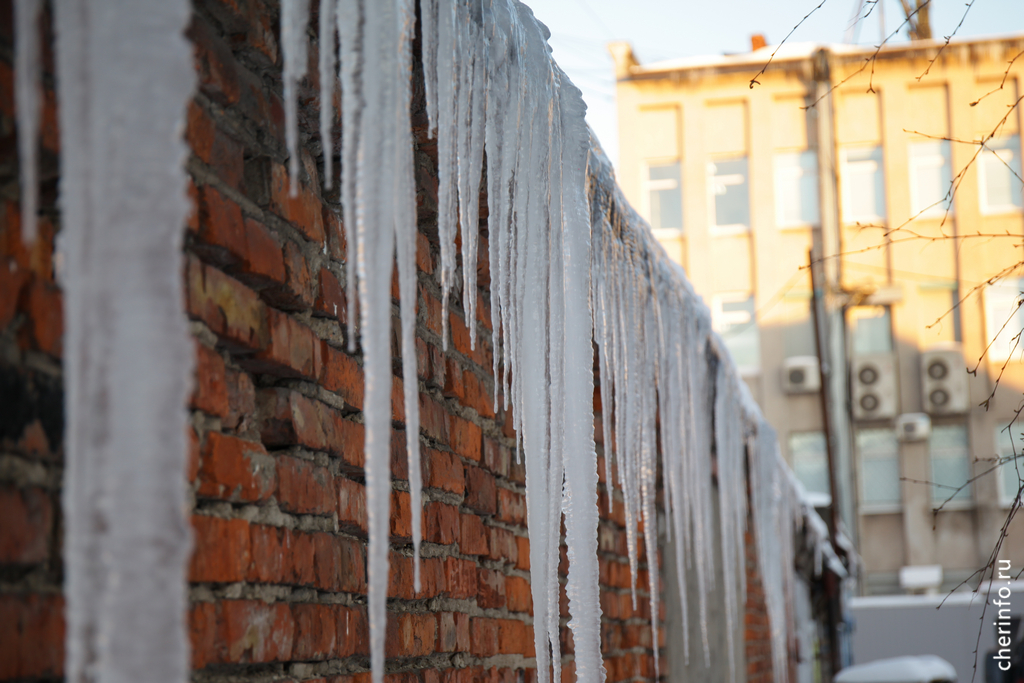 Новости Черинфо