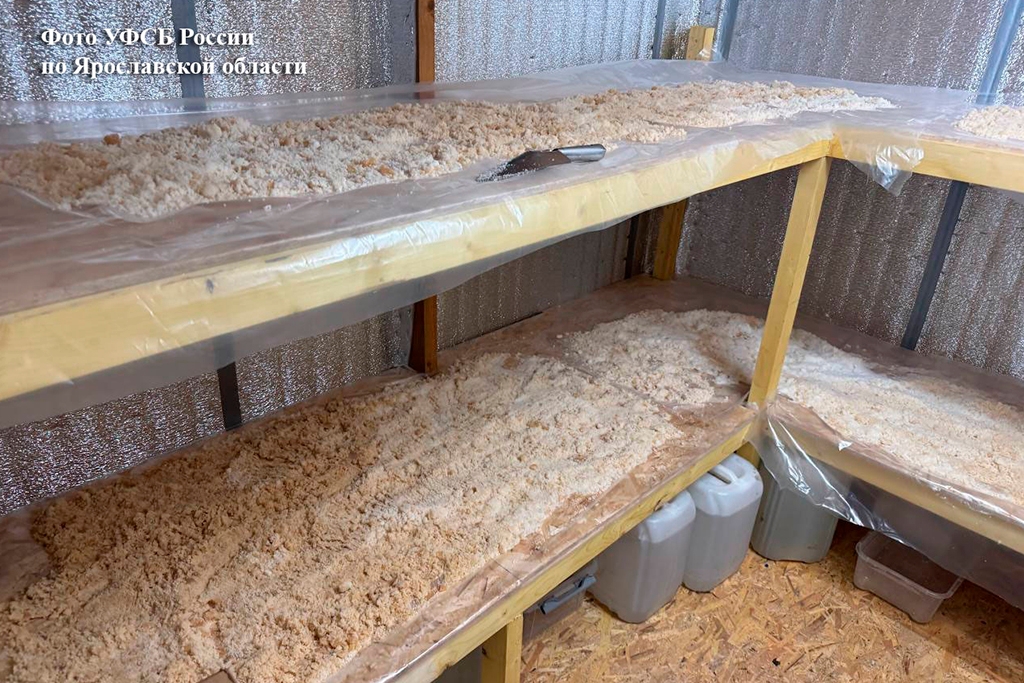 Новости Черинфо